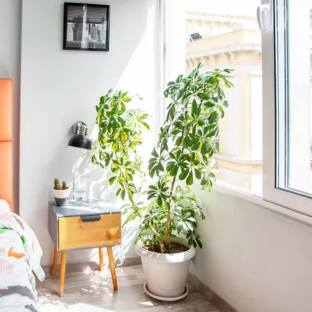 Ermou 18 Mosaics Boutique Apartamento